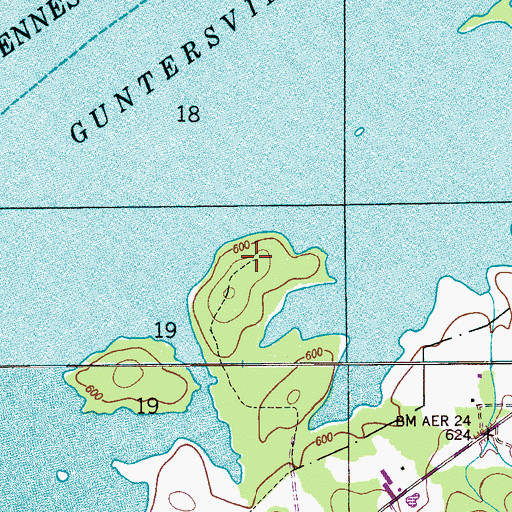 Topographic Map of McFarland Cemetery, AL