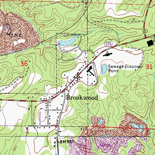Topographic Map of Brookwood Methodist Church, AL