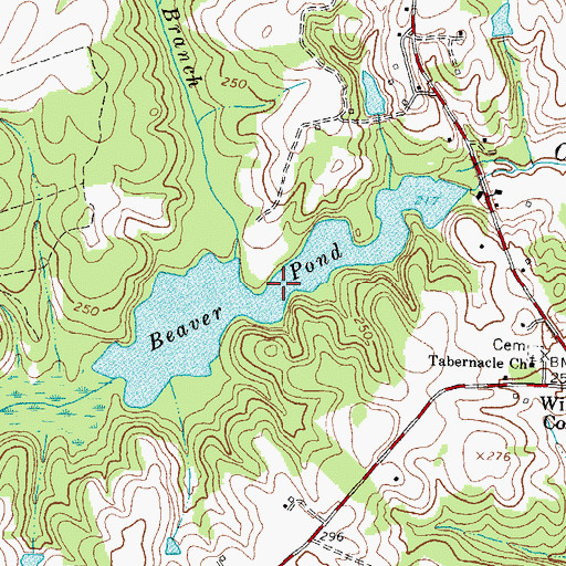 Topographic Map of Beaver Dam, VA