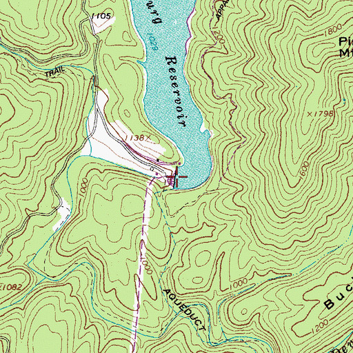 Topographic Map of Pedlar River Dam, VA