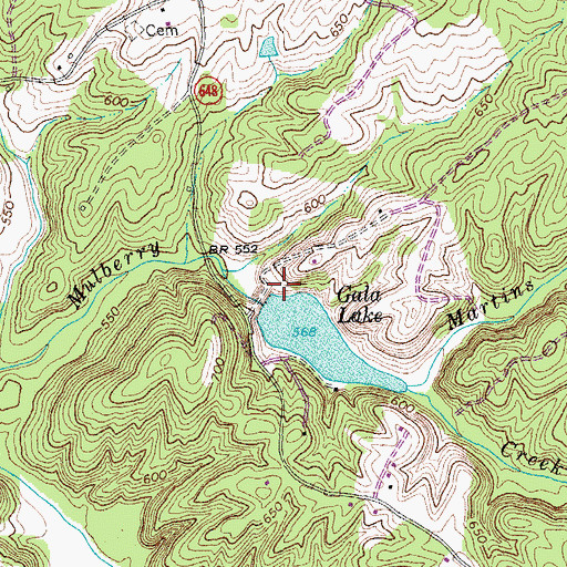 Topographic Map of East Fork Falling River Number Seven Dam, VA