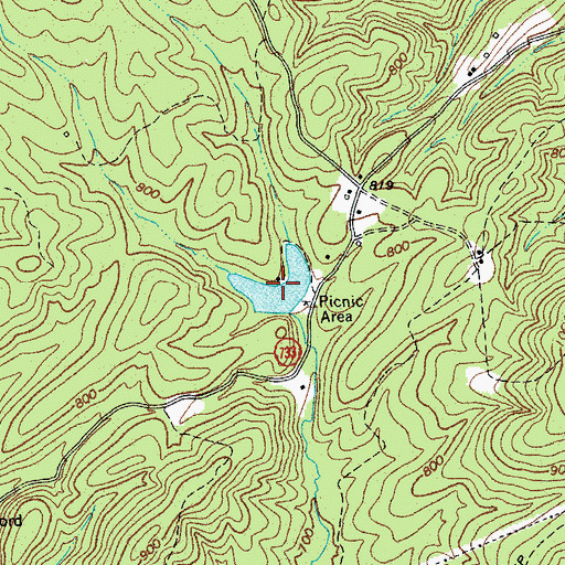 Topographic Map of Swine Lake, VA