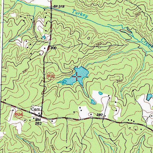 Topographic Map of Palm Lake, VA