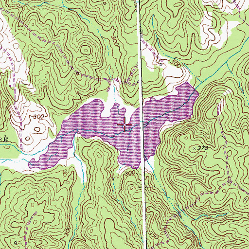 Topographic Map of Swans Lake, VA
