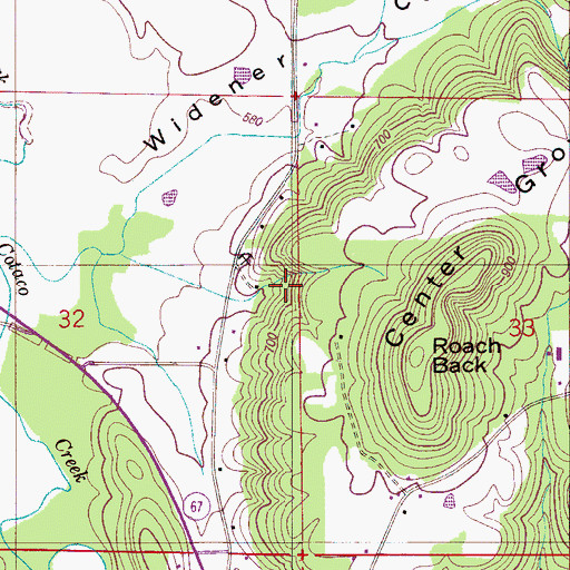 Topographic Map of Blowing Spring, AL