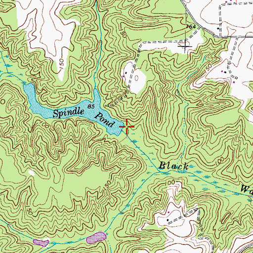 Topographic Map of Spindles Mill Dam, VA