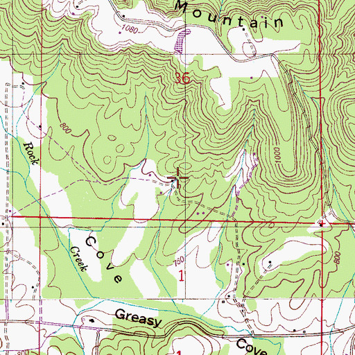 Topographic Map of Greasy Cove Spring, AL