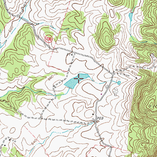 Topographic Map of Big Lake, VA