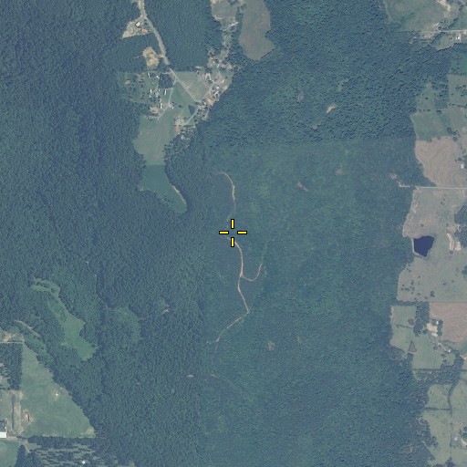 Aerial/Satellite Image of Lemons Spring, AL
