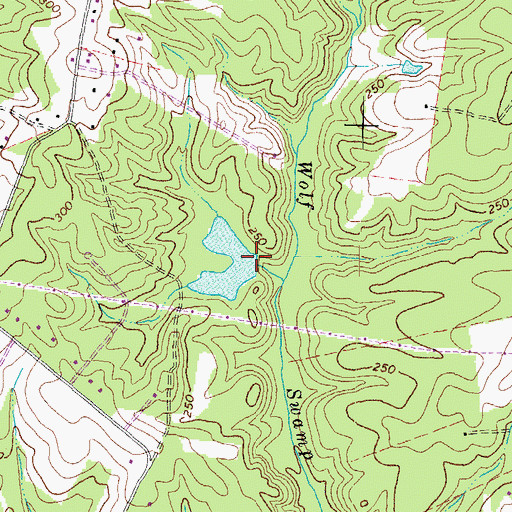 Topographic Map of Stone Dam, VA