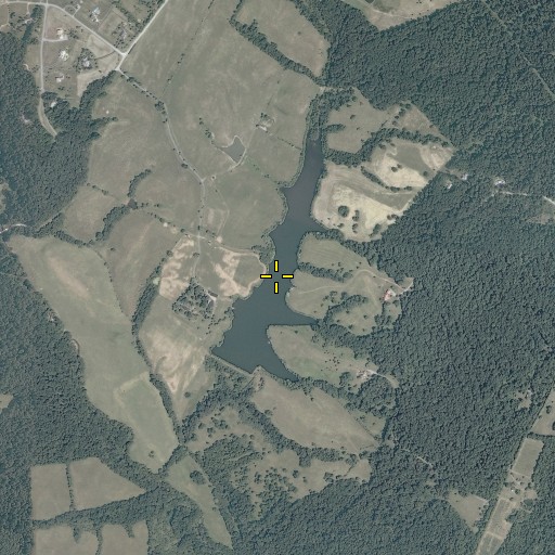 Aerial/Satellite Image of Oliver Lake, VA