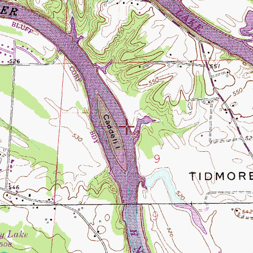Topographic Map of Caddels Ford, AL