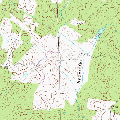 Topographic Map of Beautiful Run Number Six Dam, VA