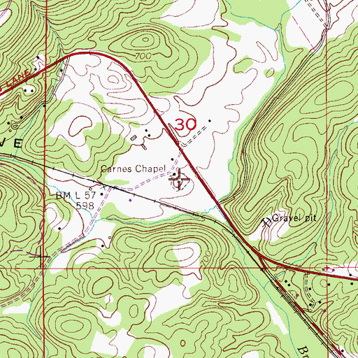 Topographic Map of Carnes Cemetery, AL