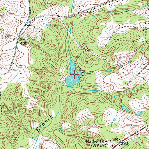 Topographic Map of Williams Lake, VA