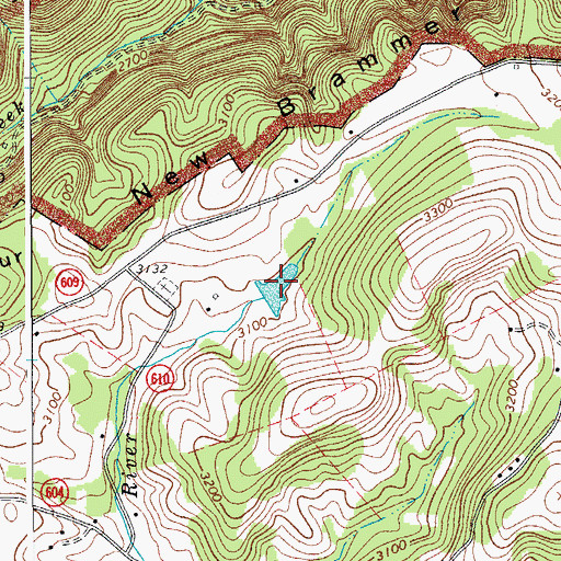 Topographic Map of Braswells Dam, VA