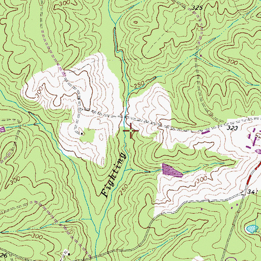 Topographic Map of Randolph Lake, VA