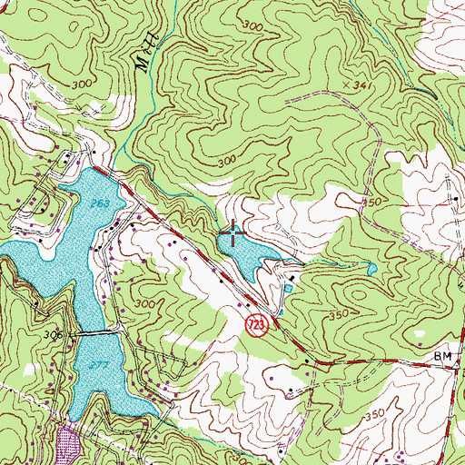 Topographic Map of Walkers Dam, VA