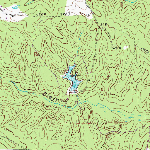 Topographic Map of Flythe Pond, VA