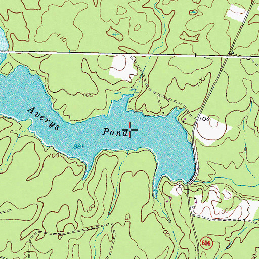 Topographic Map of Avery Millpond, VA
