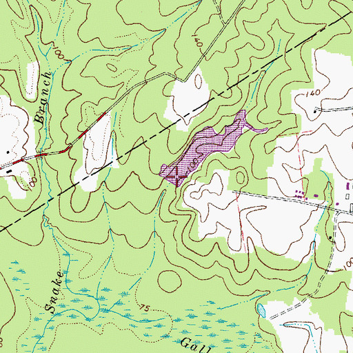 Topographic Map of Morgans Dam, VA