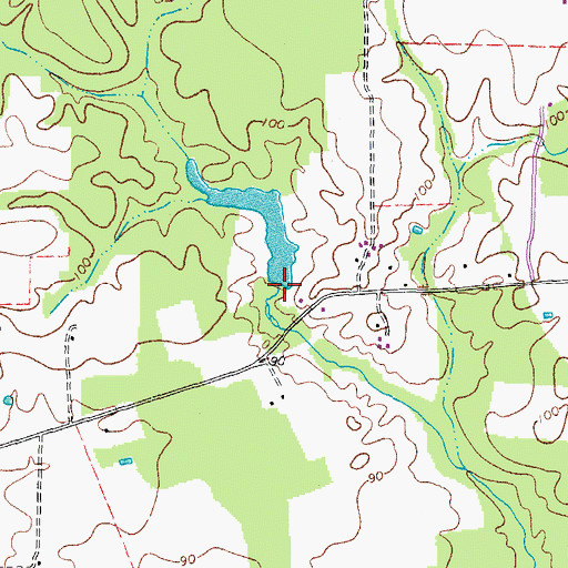Topographic Map of White Dam, VA