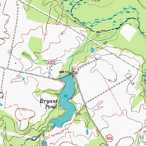 Topographic Map of Bryant Dam, VA