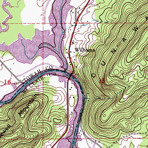 Topographic Map of Rogers Mill (historical), AL