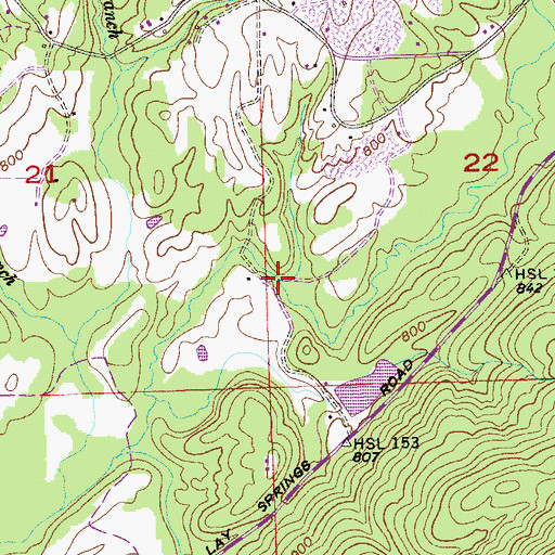 Topographic Map of Spring Branch, AL