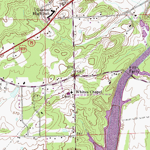 Topographic Map of Whites Chapel, AL