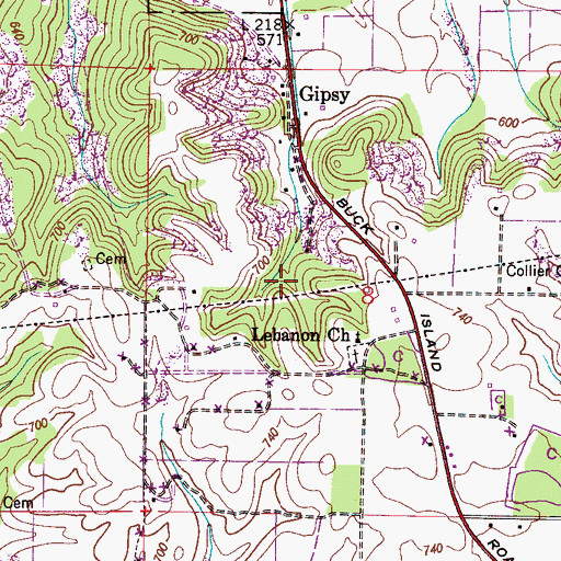 Topographic Map of Hillside Spring, AL