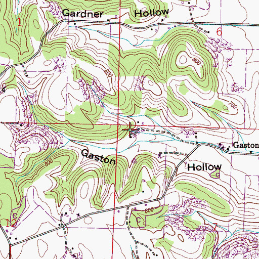 Topographic Map of Gaston Cave Spring, AL