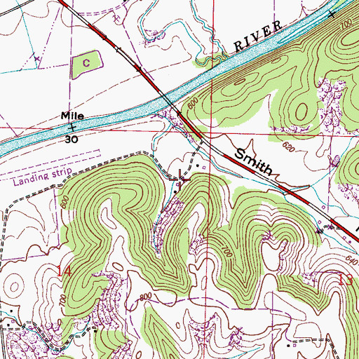 Topographic Map of Beasley Spring, AL