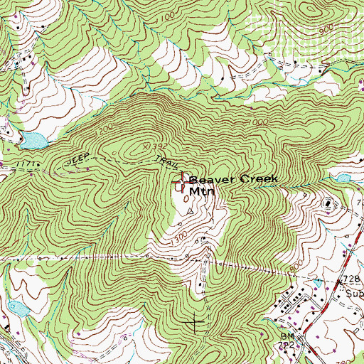 Topographic Map of Beaver Creek Mountain, VA
