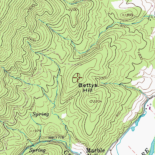 Topographic Map of Bettys Hill, VA