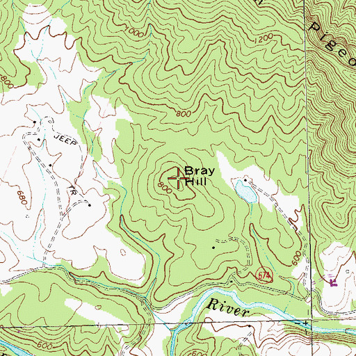 Topographic Map of Bray Hill, VA