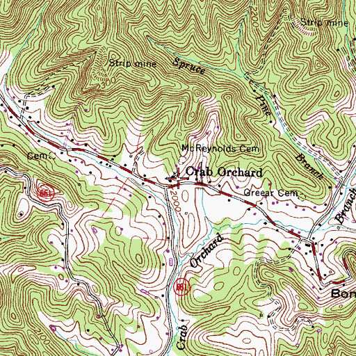 Topographic Map of Crab Orchard, VA