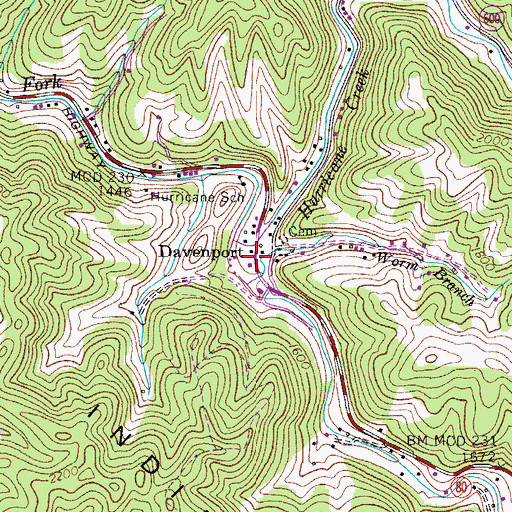 Topographic Map of Davenport, VA