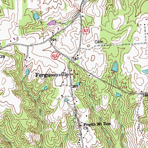 Topographic Map of Fergusonville, VA