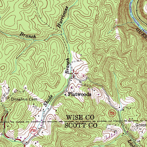 Topographic Map of Flatwoods, VA