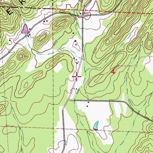 Topographic Map of Cochran Springs, AL