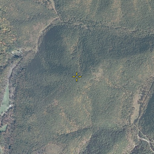 Aerial/Satellite Image of Gobble Mountain, VA