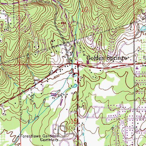 Topographic Map of Golden Springs, AL