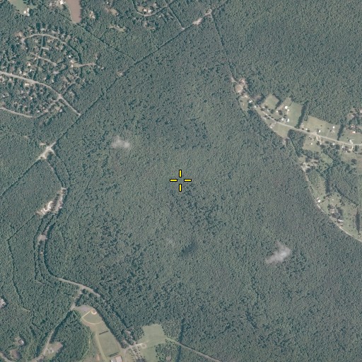 Aerial/Satellite Image of Hamiltons Thicket, VA