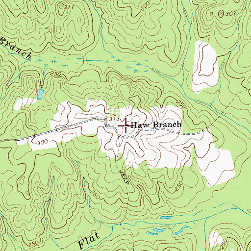 Topographic Map of Haw Branch, VA