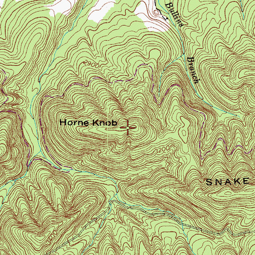 Topographic Map of Horne Knob, VA