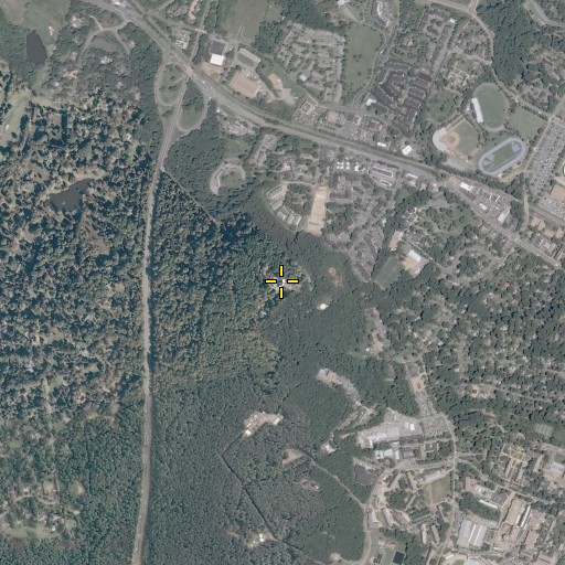 Aerial/Satellite Image of Lewis Mountain, VA