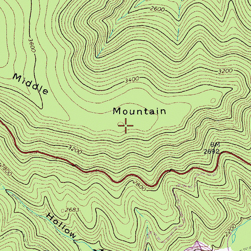 Topographic Map of Middle Mountain, VA