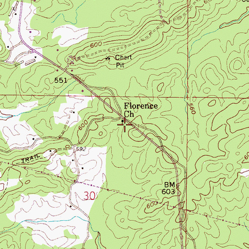 Topographic Map of Florence Cemetery, AL