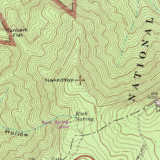 Topographic Map of Nakedtop, VA